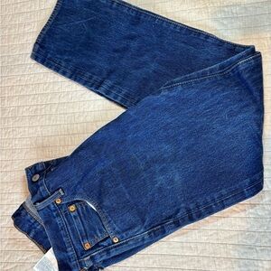 Express Indigo Denim Jeans